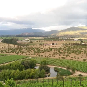 Valle de Casablanca